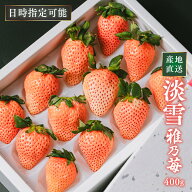 高級白いちご淡雪12〜15粒入-380g　熊本県産　雅乃苺　送料無料 母の日 ギフト　日時指定可能　産地直送…
