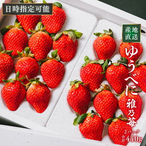 Iu䂤ׂɁv8`12-220g2pbN F{Y T  Mtg w\ Yn zCgf[ p n p  a  ʕ t[c 1pbN 2pb