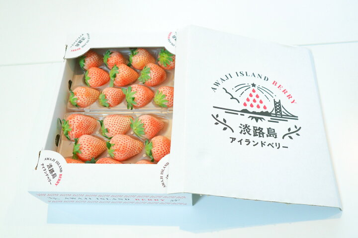 楽天市場 送料無料 淡路島産 淡雪 250g 2パック フルーツギフト 贈り物 身内へのギフト 出産祝い 内祝い 誕生日 プレゼント 引越し祝い お見舞い品 熨斗 高級いちご 贈答用 ホワイトデー クリスマス お歳暮 Miyabi Shop