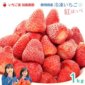 【冷凍】紅ほっぺ1kg / 静岡県産 いちご 朝採り 苺 べにほっぺ 産地直送 農家直販 農家直送 itigo 冷凍フルーツ スムージー フローズン