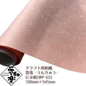 yNtgpa ay _-イ- ɂԍz788mm × 545mm 2ij bsOy[p[ Ԏ G ؂G \蔠 a