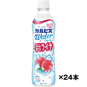 󂠂 AEgbg  JsXEH[^[ Ђ胉C` 490mlPET×24{ P[X (ꕔn) ATq ܖ2025/12 (4901340094741)