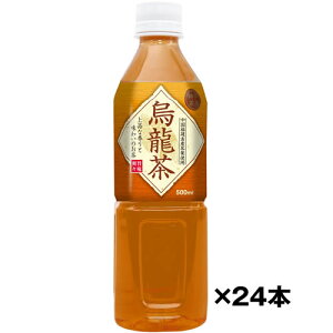 P[X _˒[ G 500mlPET×24{ (ꕔn) E[ xifՁ@Mtg v[g(4936790505103)