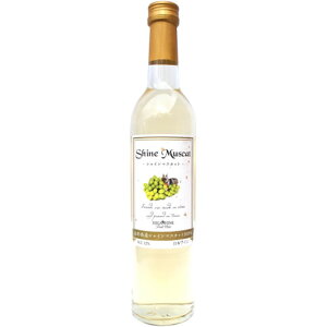 C Ì t[cC VC}XJbg 500ml { R`@Mtg v[g(4589765810315)