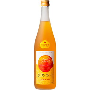 ߂̂ I~ 720ml 13x gGYX a̎R L[@Mtg v[g(4903235324971)