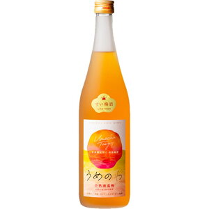 ߂̂ ~ 720ml 13x gGYX a̎R L[@Mtg v[g(4903235700317)