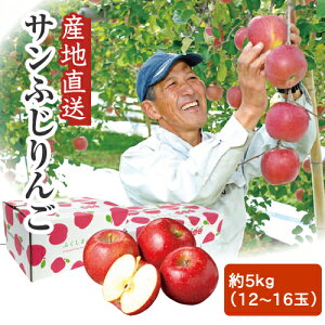 y5kg 12`16ʁzYn Ԉ䂳Ƃ̕ Tӂ񂲁 A-1@ɒBsیYS ̂ Ԉʎ Sꗥ s