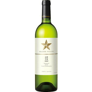 白ワイン 辛口 サッポロ グランポレール 山梨 甲州〈樽発酵〉 750ml 日本 ギフト プレゼント(4901880880910)