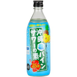 L[ vĐ ꉖpC T[̑f 500ml 25x @Mtg v[g(4994997253142)