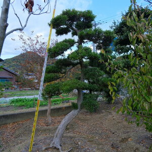 ij@@@܂@@@@؁^50N@@A؁@뉀@@