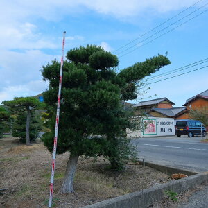 ij@@@܂@@@@؁^60N@@A؁@뉀@@