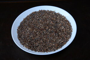 ij@@@l̎痱@@@@@@S@@@@y@N[|AAwΏۊOi@z@@ˎܗt^~HOAؗԂjv