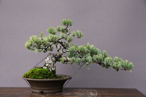 ij@@@{ܗt@@@i~́^30N