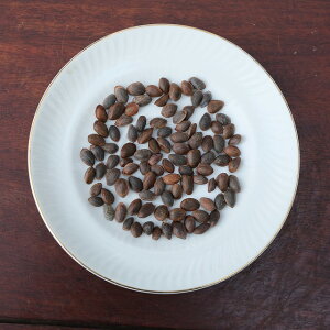 ij@@@ΒȌܗt@100@y@N[|AΏۊOi@zil@΁j~͗p