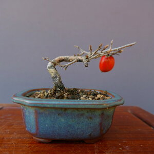 ij@@낤`y@kM܁@z@@i~́^4N