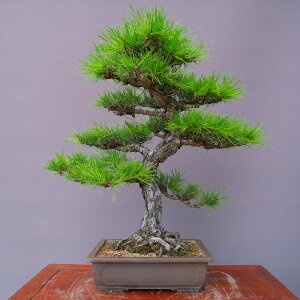 ij@@@@@ԏ@@@i~́^40N