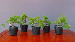 ij@@@^5{Zbg@@@@@@ i~́^6N