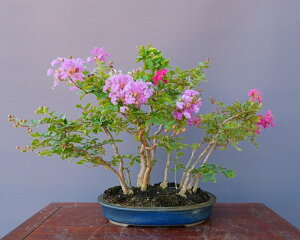 ij@@邷ׂ@@i~́^30N