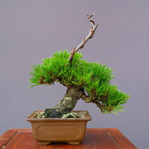 ij@ @ ہ@@@@i~́^20N