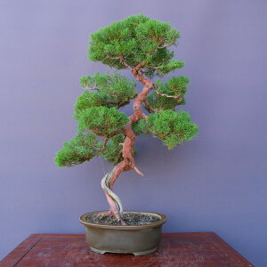 ij@@^@@@@@@@i~́^40N