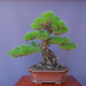 ij@@@@R̂WH@@@i~́^200N