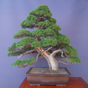 �i���j������@�@�^���@�@��i�~�́^����70�N