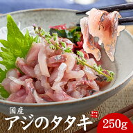 国産アジのタタキ250g ぷりっぷりの食感、旨みたっぷりのアジが手軽に味わえます（あじ 鯵 刺身 手巻き寿…