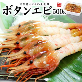 超特大ボタンエビ500g（9〜12尾）送料無料 ぷりっぷり、甘みたっぷり特大サイズ お刺身OK（ギフト 母の日 父の日 プレゼント 食べ物 海鮮丼 手巻き寿司 御祝 内祝 BBQ om22）《ref-eb2》[[ぼたんエビ500g]