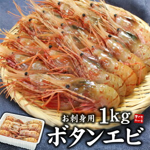 hgp {^Gr1kg 20`32 łՂՂ Ƃ낯悤ȔZȊÂ iMtg Ε N j Hו 蕨 v[g j j a jom22 [[ڂGr500g-2p]