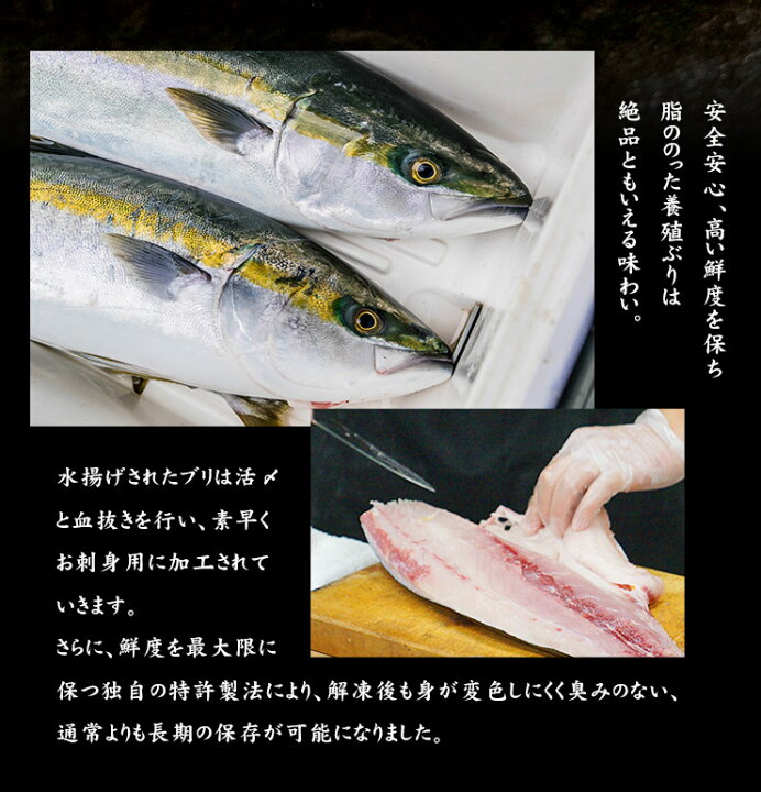 楽天市場 お刺身用国産ぶりブツ切り0g 鮮度抜群 濃厚な旨みと脂ののった養殖ぶり 不揃い 筋のある訳あり品 鰤 ぶりしゃぶ お刺身 寿司ネタ 海鮮丼 手巻き寿司 Oss Ref Brb1 Yd5 ぶりブツ切り0g まぐろ処 一条
