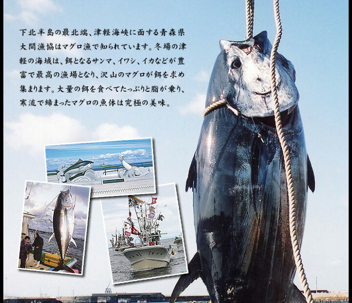 楽天市場 送料無料 大間のマグロ中トロ赤身セット300g 中トロ150g 赤身150g 自然解凍ok 恵方巻 ギフト まぐろ 鮪 刺身 海鮮丼 手巻き寿司 おつまみ 御祝 内祝 誕生日 景品 Dbf Om5 Om1 Yd9 大間産本鮪 中トロ赤身セット まぐろ処 一条