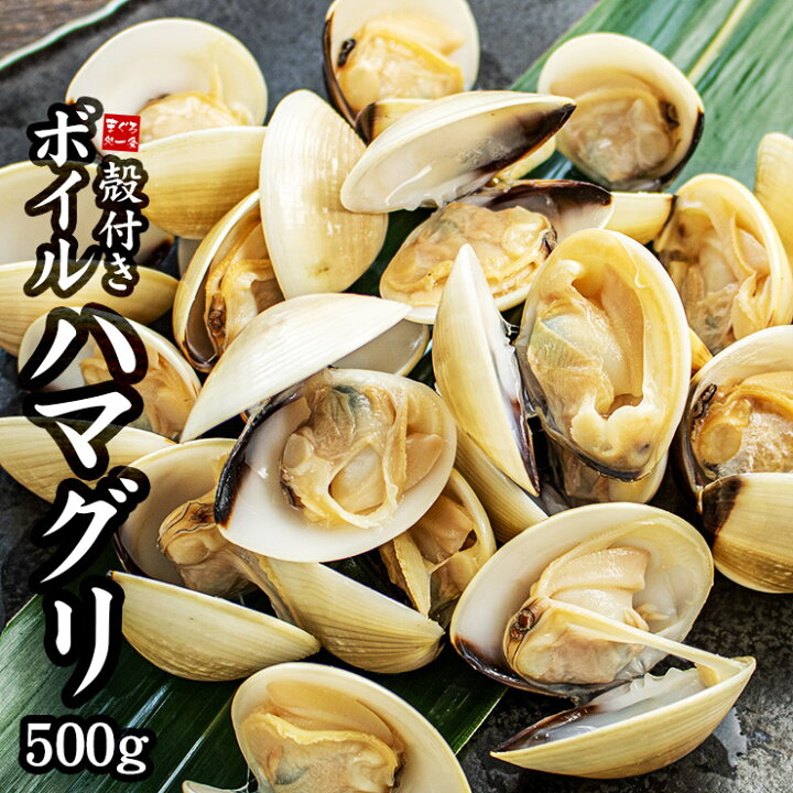 楽天市場 殻付きボイルハマグリ 500g 加熱用 小ぶりなサイズですが濃厚な貝のダシが出ます 砂抜き済ですぐ料理に使えます お吸い物 バター焼き パスタなど 蛤 はまぐり q Oss Yd5 殻付ボイルハマグリ まぐろ処 一条