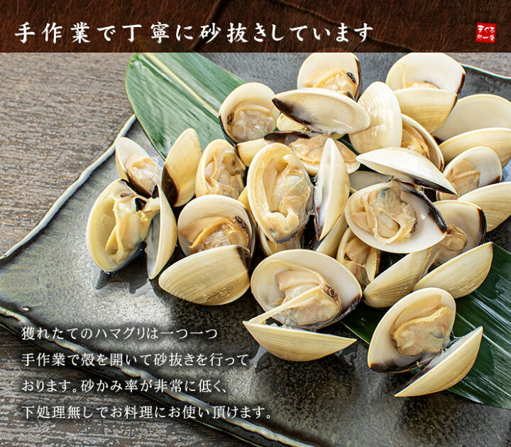 楽天市場 殻付きボイルハマグリ 500g 加熱用 小ぶりなサイズですが濃厚な貝のダシが出ます 砂抜き済ですぐ料理に使えます お吸い物 バター焼き パスタなど 蛤 はまぐり q Oss Yd5 殻付ボイルハマグリ まぐろ処 一条