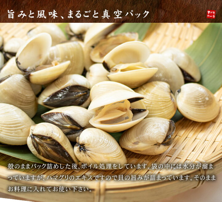 楽天市場 殻付きボイルハマグリ 500g 加熱用 小ぶりなサイズですが濃厚な貝のダシが出ます 砂抜き済ですぐ料理に使えます お吸い物 バター焼き パスタなど 蛤 はまぐり q Oss Yd5 殻付ボイルハマグリ まぐろ処 一条