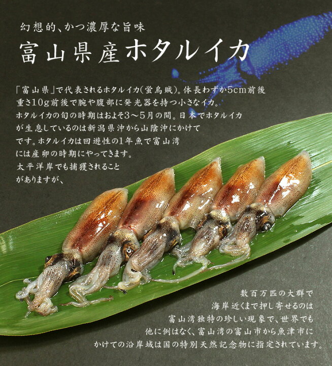 楽天市場 お刺身用ホタルイカ12杯 お刺身 生 で食べられる高鮮度 ぷりっぷり食感と肝の濃厚な旨味 富山産 寿司ネタ 旬 誕生日 贈り物 プレゼント Os2 Ref Fs1 Yd5 ホタルイカ まぐろ処 一条
