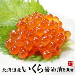 kCYݖЂ 500g  H̗gɏ̂iΕ N NX}X  hV̓ ̓ Mtg v[g  Hו 2025 j j 蕨 jsref