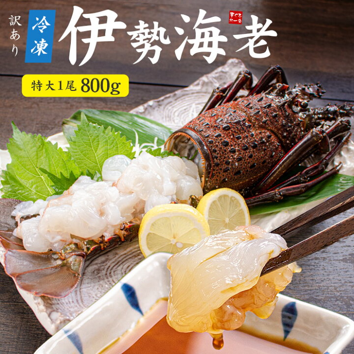 楽天市場 送料無料 冷凍 伊勢海老 特大サイズ1尾 800 1kg 訳あり 国産 天然 見た目のインパクト満点の特大サイズ お祝いやギフトにも いせえび 伊勢エビ イセエビ 刺身 手巻き寿司 海鮮丼 ギフト q キャンプ Yd9 伊勢海老800g以上 まぐろ処 一条