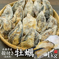 ＼クーポン使用で40％OFF／ 賞味期限短め(2026.10.31)のため在庫処分 兵庫県産 殻付き牡蠣 加熱用1kg(10…