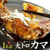 南マグロ大トロカマ どっさり1キロ（4〜8片入）ジュワっとしたたるほどの脂のり 塩焼きや煮付けに（ギフ…