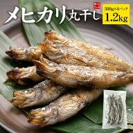 メヒカリ丸干し1.2kg(300g×4袋) 60～120尾 小さいサイズ 脂ののった白身魚 お酒のお供に 常磐もの （肴 …