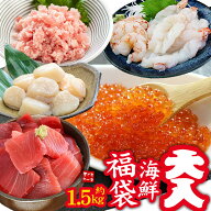 大入り海鮮福袋 約1.5kg 海鮮5種詰め合わせ 赤エビ いくら ほたて ネギトロ 南マグロ 送料無料 (食べ物 …