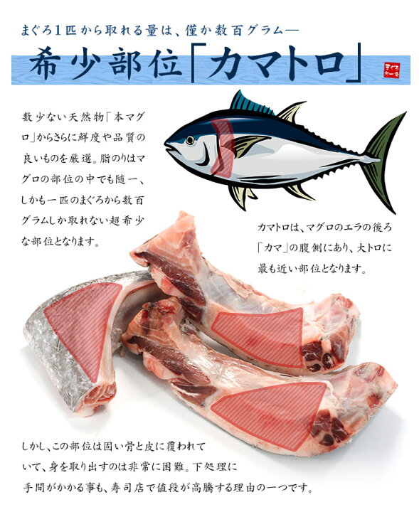 楽天市場 送料無料 天然本マグロカマトロ500g 骨 皮取り済み わさびも効かないほどの脂のり 濃厚でコクのある脂の旨みをお楽しみ下さい 恵方巻 寿司 刺身 手巻き寿し 海鮮丼 大トロ プレゼント Bf1 Yd9 天然本マグロカマトロ500g まぐろ処 一条