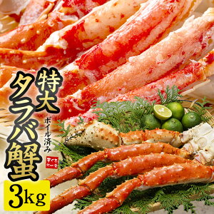 ����{�C������ΊI�r �v���~�A���T�C�Y2����������3.0kg�iNET2.4~2.6kg�j���������i���� �J�j �I ��̓� ���̓� �h�V�̓� �M�t�g �v���[���g �a���� ��j ���j�j�sref-cr1�tom22 [[�^���o�I1.5kg-2p]