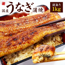 訳あり 国産うなぎ長蒲焼き1kg！身が崩れたりサイズが不均一の訳あり品 送料無料 （ギフト 母の日 父の日 誕生日 プレゼント グルメ 御祝 内祝 土用の丑の日）〈ue1〉yd5[[訳ありウナギ蒲焼き500g-2p]