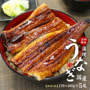 YȂĂ(160g`170g)×5Zbg 󂠂i ^ER  ihV̓ ̓  Y Y yp̉N̓ Mtg v[g j a 蕨jseel-ue1tque1r[[