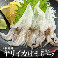 お刺身用ヤリイカげそ20枚入り×5パック 送料無料 新鮮だからコリコリ・プチプチとした食感！身質が柔ら…