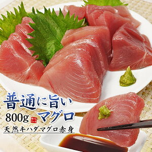 ʂɎ|IVRLn_}OԐgK800g 𓀃Vst  ȂAȂi }O ܂ CN 芪i K 󂠂 PAjspbt-yf1tqyf1r[[Ln_Ԑg80