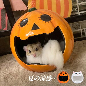 nX^[ nEX nX^[xbh   nX^[nEX  H J{` đ΍ Ђ xbh ւ  nX^[P[W Q lGʗp X  nlY~ B