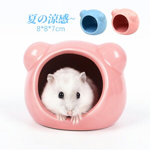 nX^[ nEX nX^[xbh   nX^[nEX F^   đ΍ Ђ xbh ւ  nX^[P[W X Q lGʗp  nlY~ B n