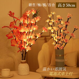 e[uCg  k ԐڏƖ e[uv xbhTCh fXNCg u^ Ԍ`Cg uPbgCg t[Cg  ~  S Q v CeA Cg 